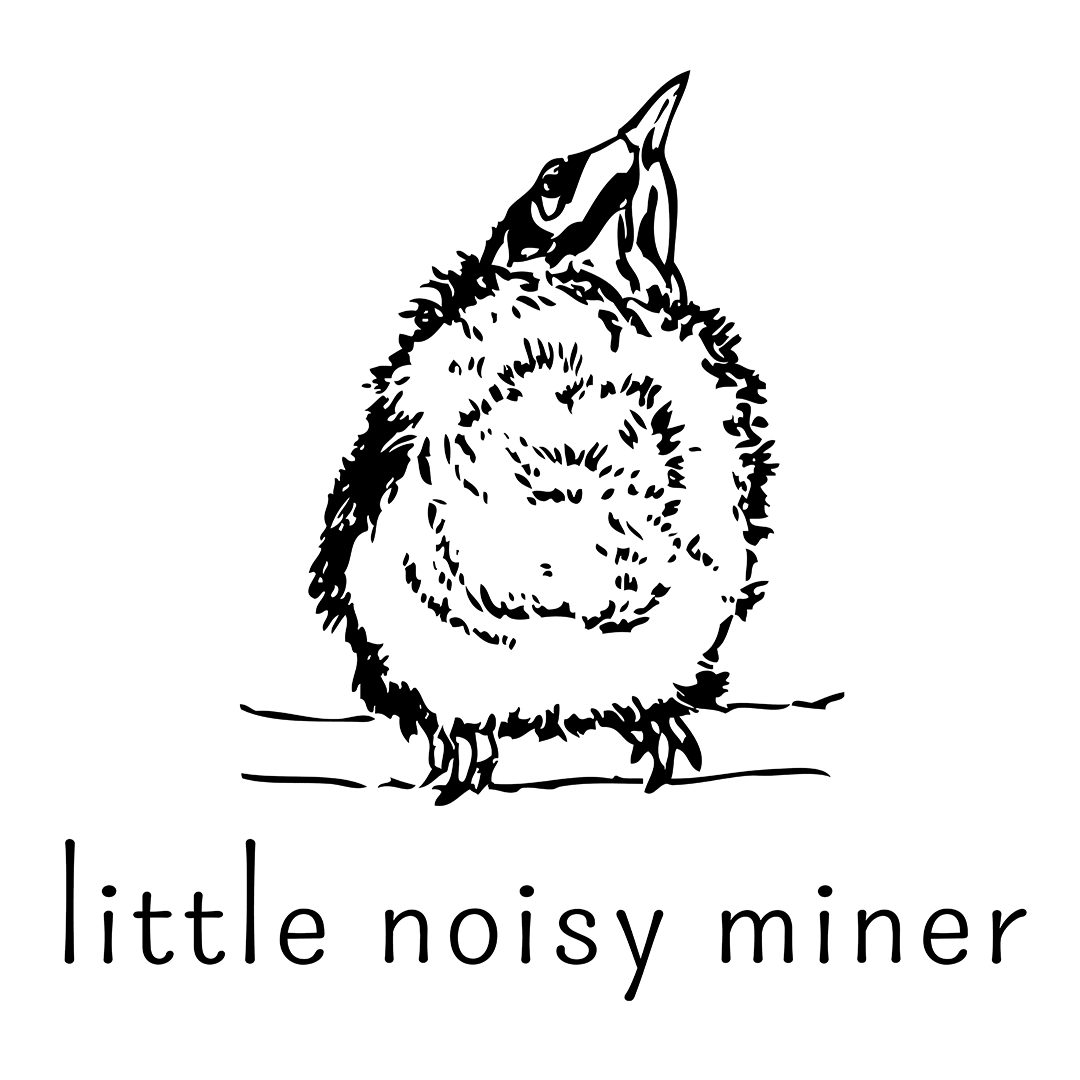 little noisy miner